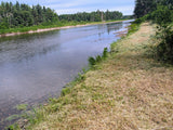 Day Rental Summer Cabin ($60. <=6 people, 1-5pm)
