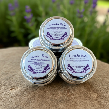 Lip Balms and Body Butters