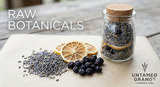 Lavender Infusion Kits