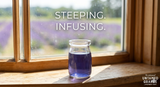 Lavender Infusion Kits