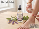 Lavender Eucalyptus Spray